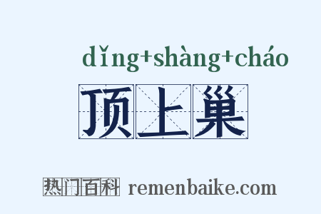 顶上巢是什么意思的图片